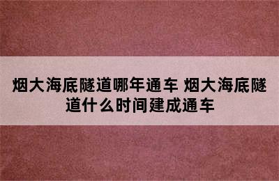 烟大海底隧道哪年通车 烟大海底隧道什么时间建成通车